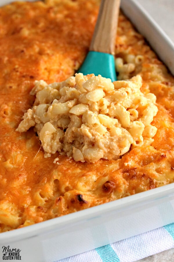 Gluten-Free Southern Baked Macaroni and Cheese - Mama Knows Gluten Free