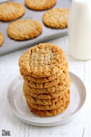 Gluten-Free Peanut Butter Cookies {Dairy-Free & Vegan Option} - Mama ...