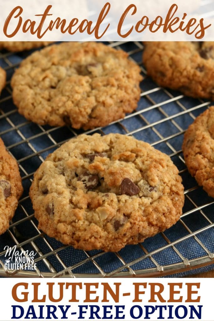 https://www.mamaknowsglutenfree.com/wp-content/uploads/2019/09/gluten-free-oatmeal-cookies-pinB-683x1024.jpg