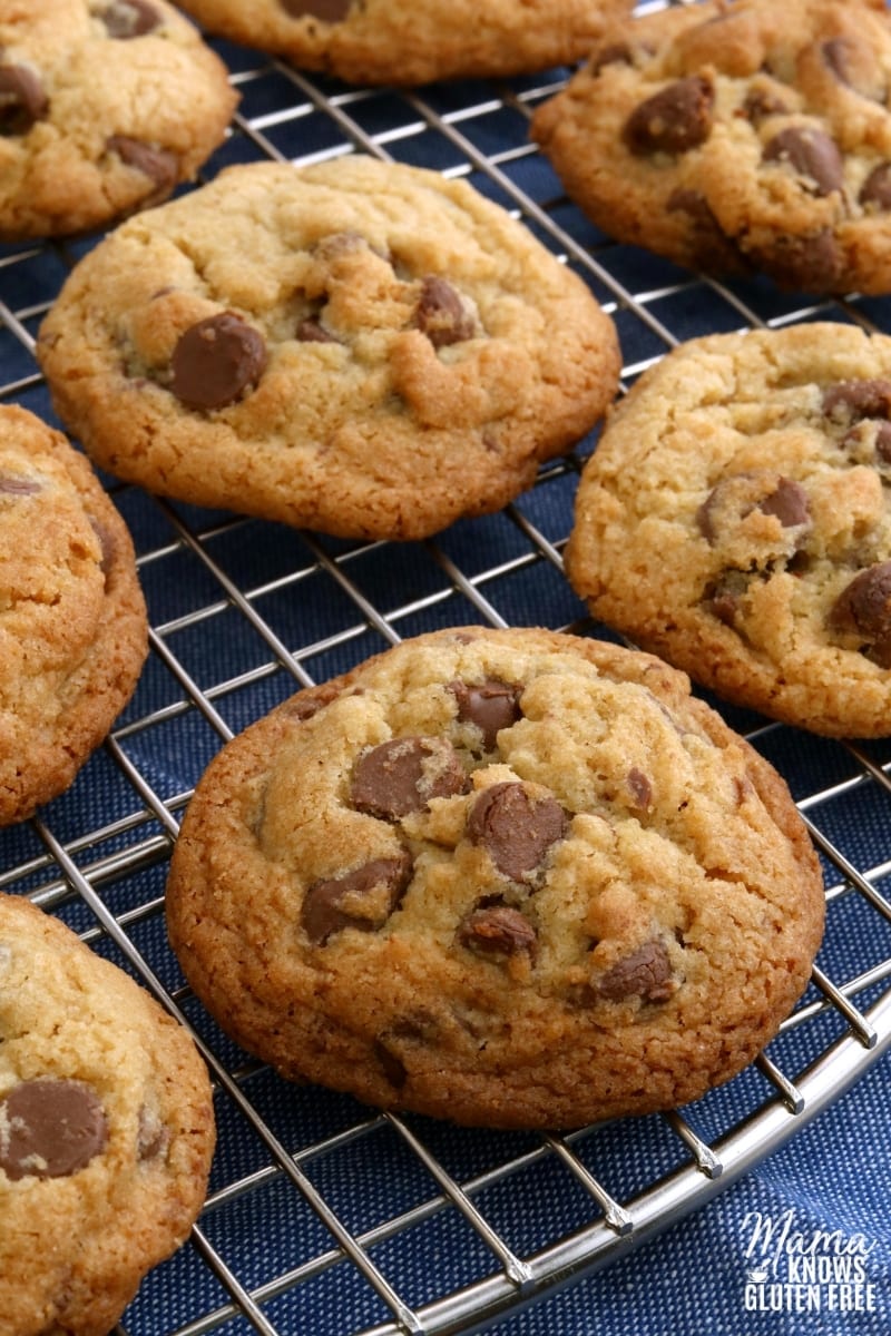 Gluten-Free Chocolate Chip Cookies {Dairy-Free & Vegan Option} - Mama ...