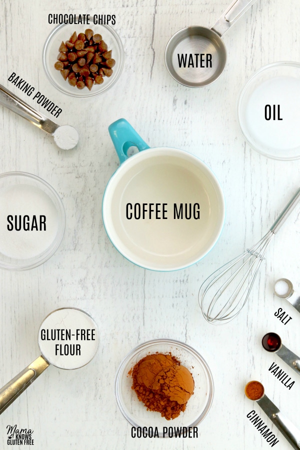 Brownie in a Mug Recipe [with video]