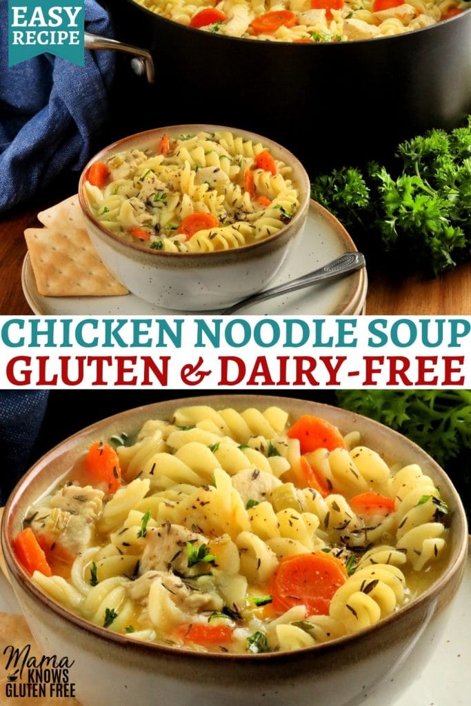 Gluten-Free Chicken Noodle Soup - Mae's Menu