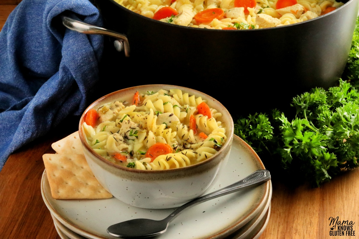 Gluten Free Mexican Chicken Noodle Soup Recipe
