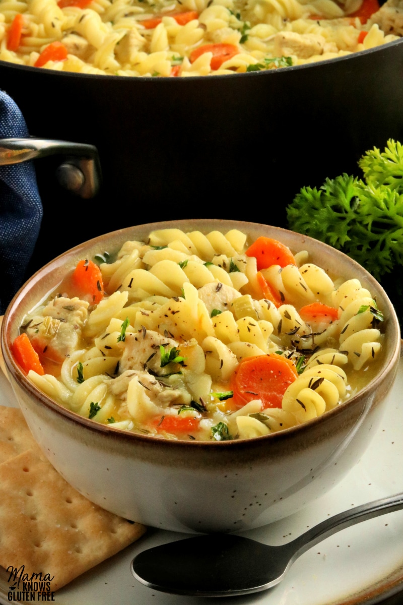 Gluten Free Chicken Noodle Soup - The Marching Apron