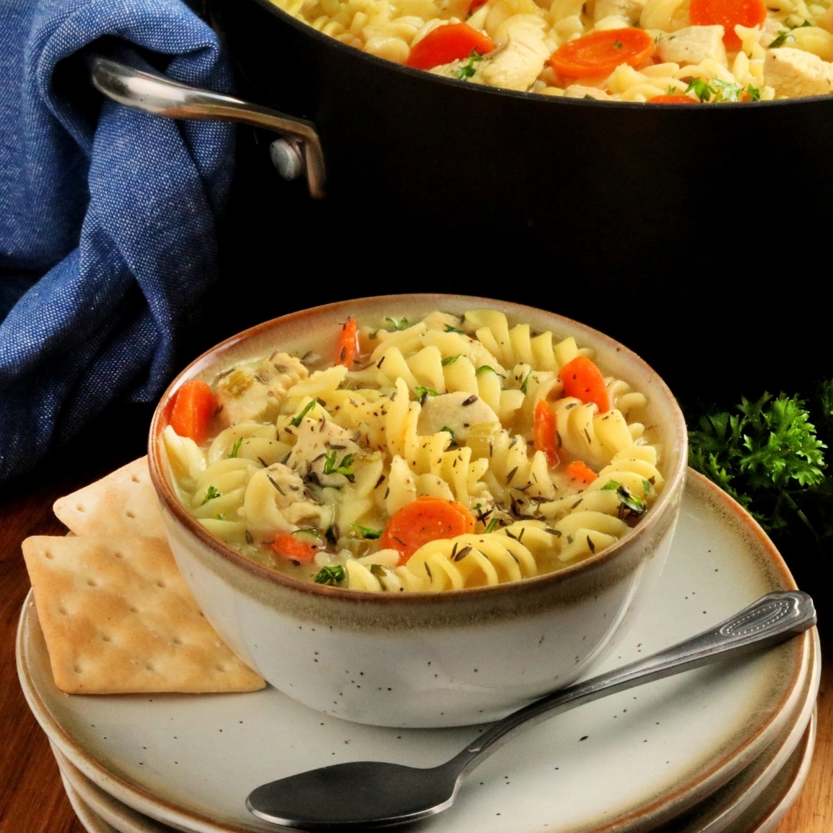Gluten Free Chicken Noodle Soup (Dairy Free too!)