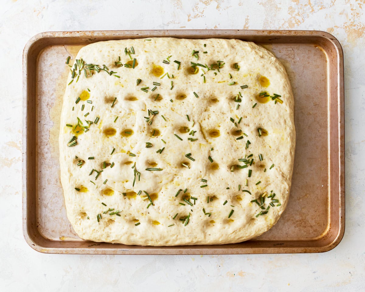 dimpled gluten-free focaccia dough topped with oil and rosemary.