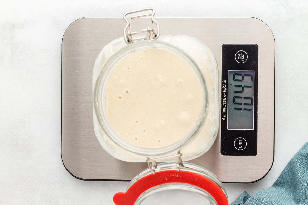 gluten free sourdough starter in a glass jar on a scale that reads 1049.