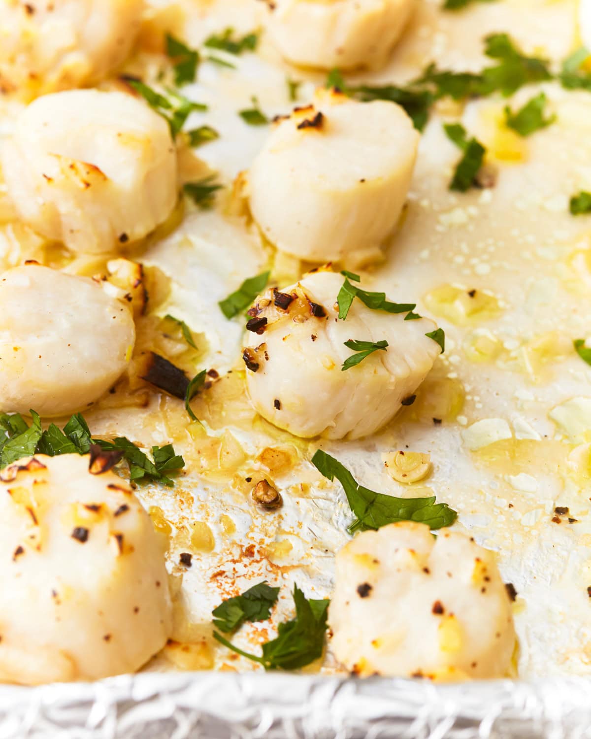 Broiled scallops on a foiled lined baking sheet topped with fresh parsley.