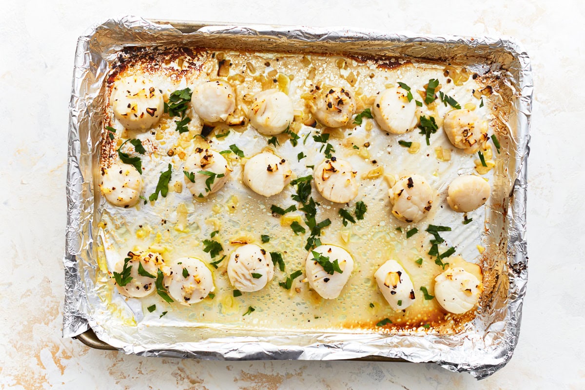 Overhead view of broiled scallops on a foil lined baking sheet covered in garlic butter and parsley.