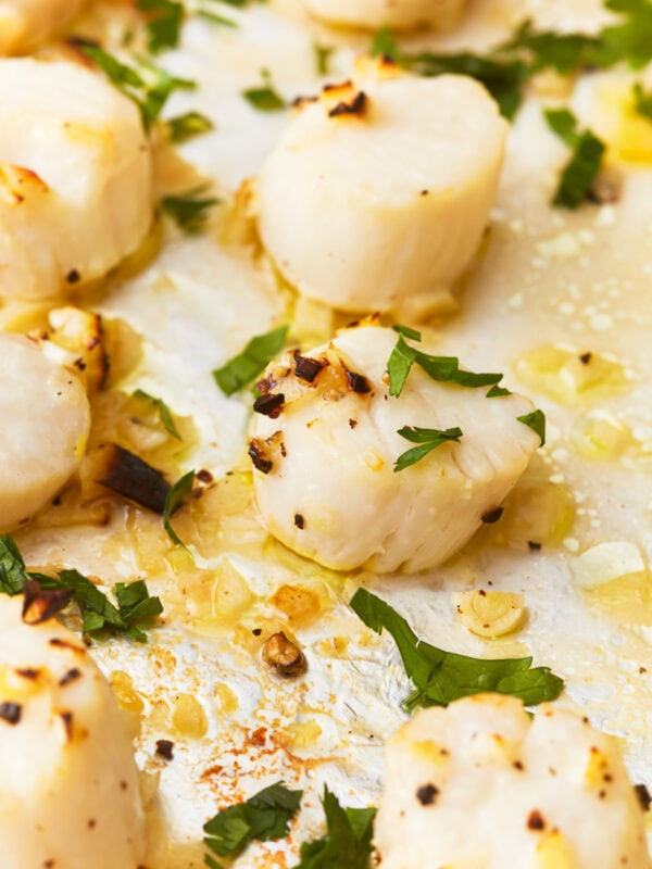 Close up of broiled scallops on a foiled lined baking sheet topped with fresh parsley.