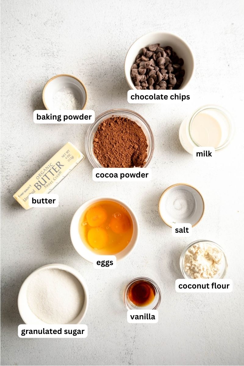 Ingredients for coconut flour brownies