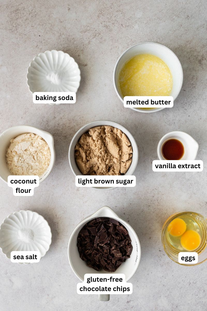 Ingredients for coconut flour chocolate chip coookies