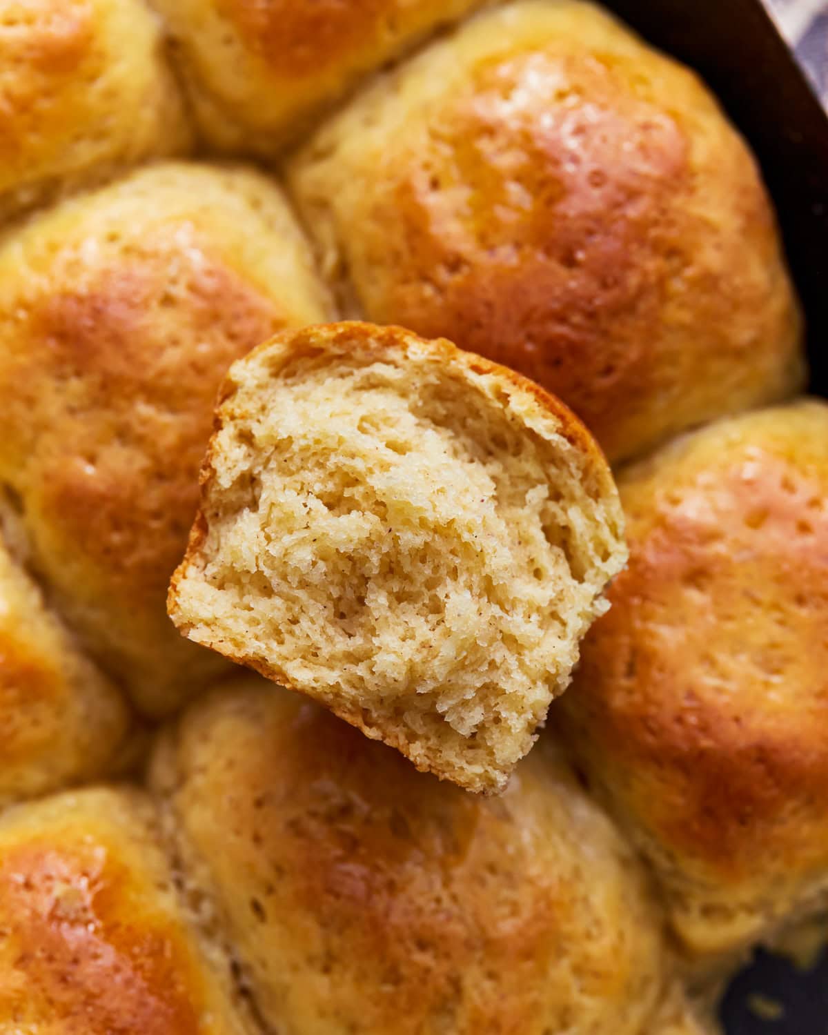 Overhead view of gluten-free Hawaiian rolls with one sliced in half.