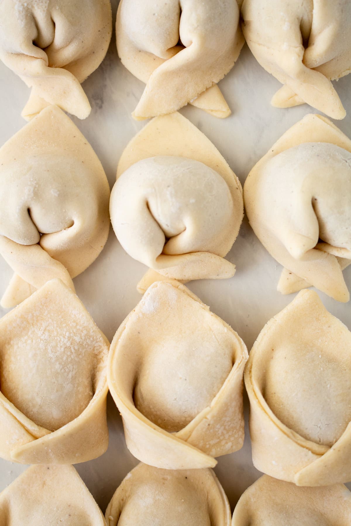 Overhead view of gluten-free wontons